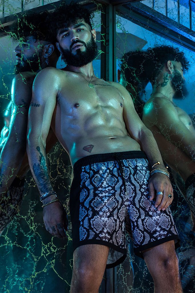 SOURNOIS - L'ANIMAL CO